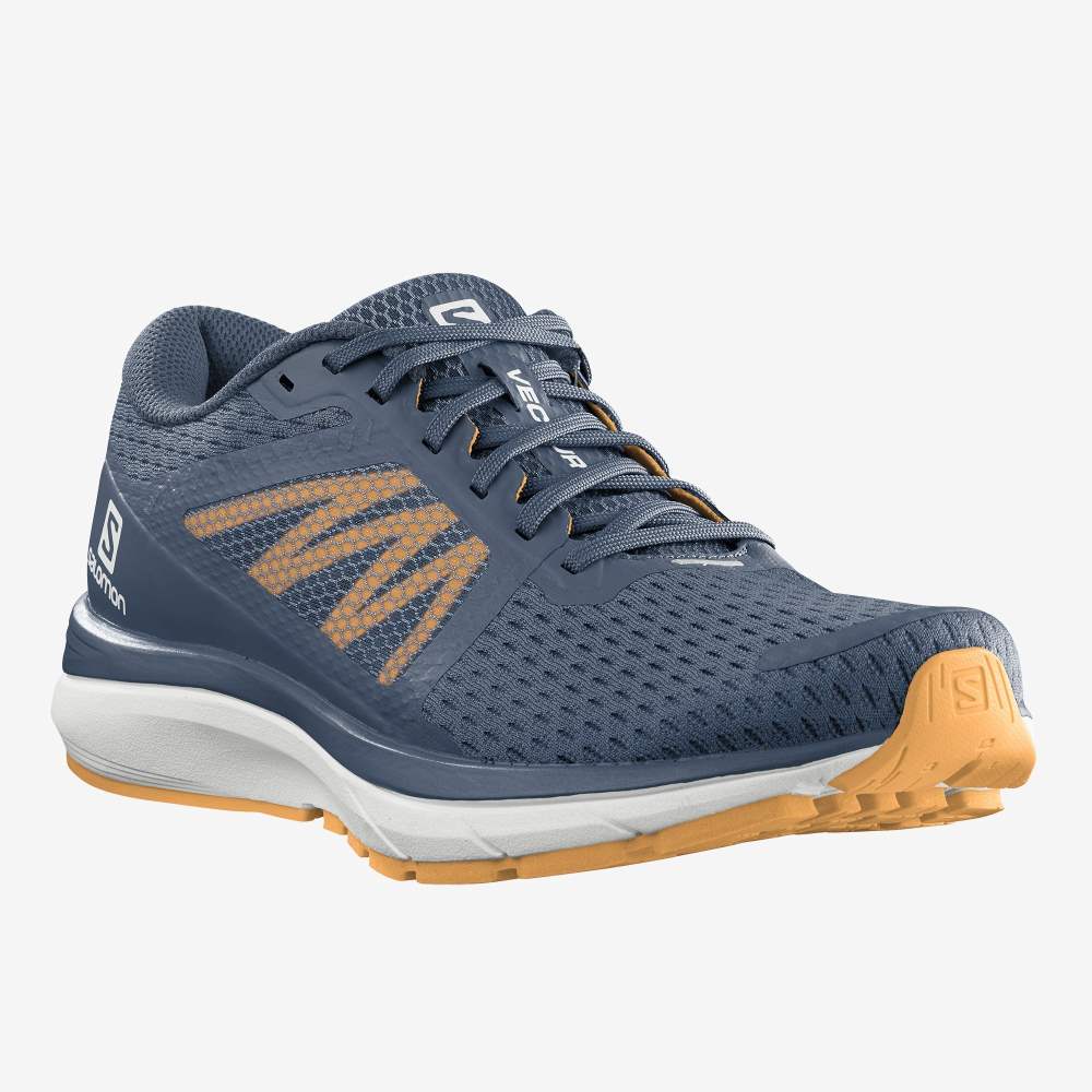 Apricot Salomon Vectur Men's Running Shoes | 025679YSI