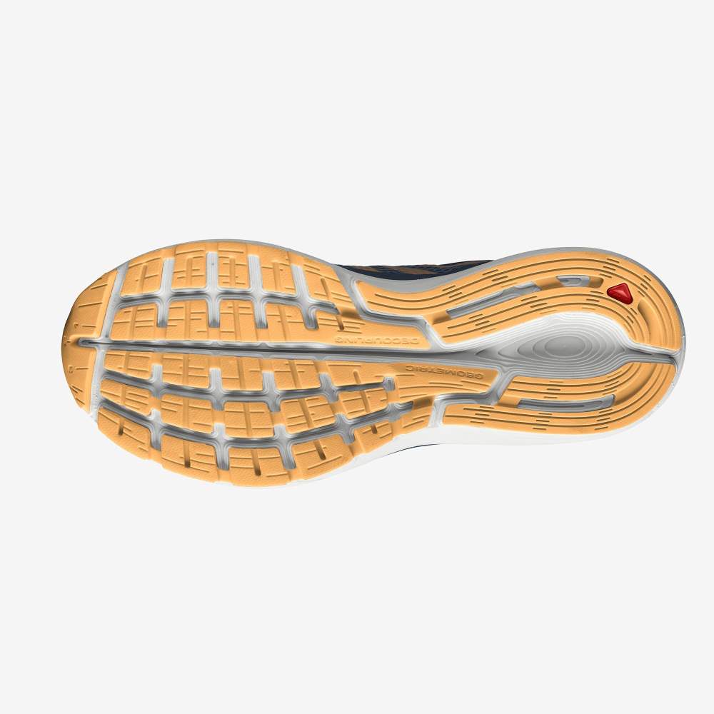 Apricot Salomon Vectur Men's Running Shoes | 025679YSI