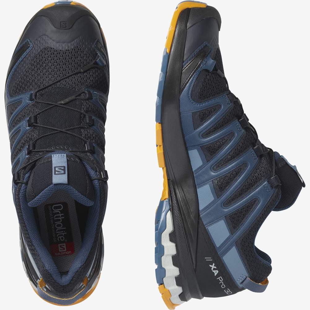 Black Blue Salomon Xa Pro 3d V8 Men's Hiking Shoes | 167904KPA