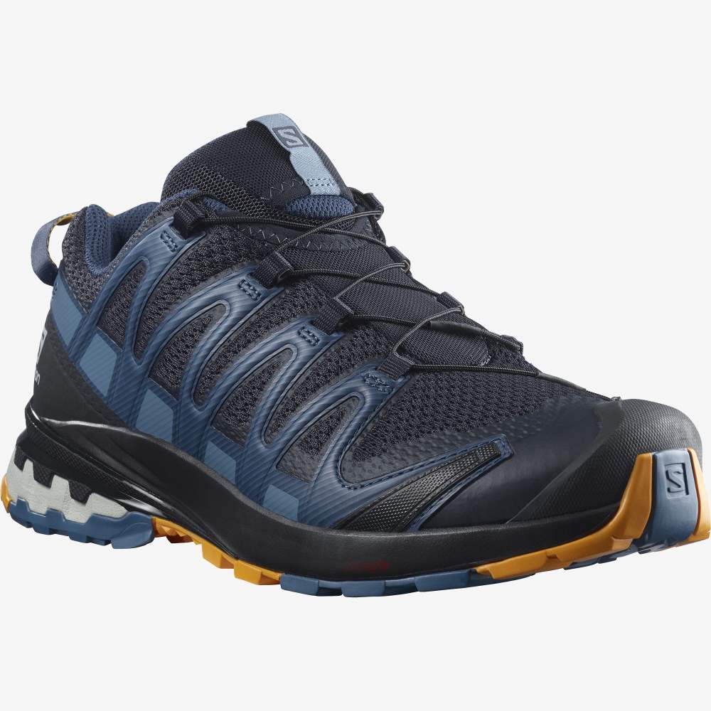 Black Blue Salomon Xa Pro 3d V8 Men's Hiking Shoes | 167904KPA
