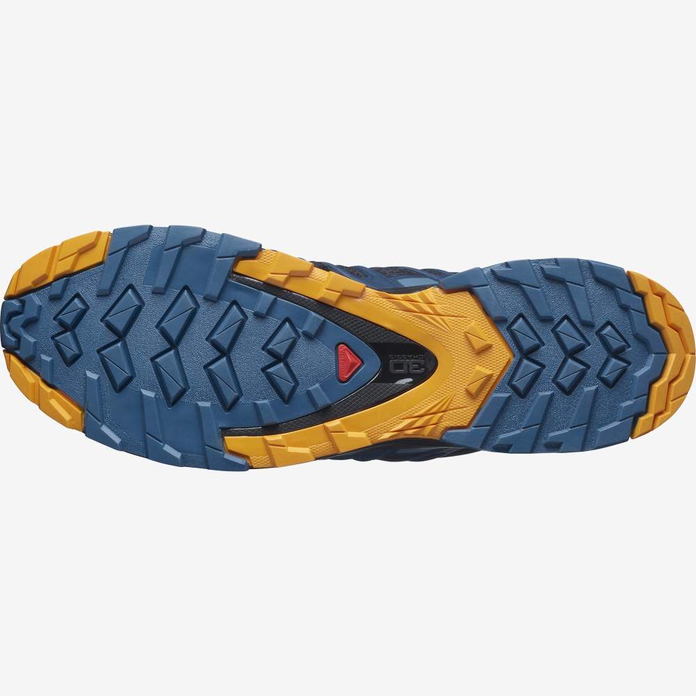 Black Blue Salomon Xa Pro 3d V8 Men's Hiking Shoes | 167904KPA