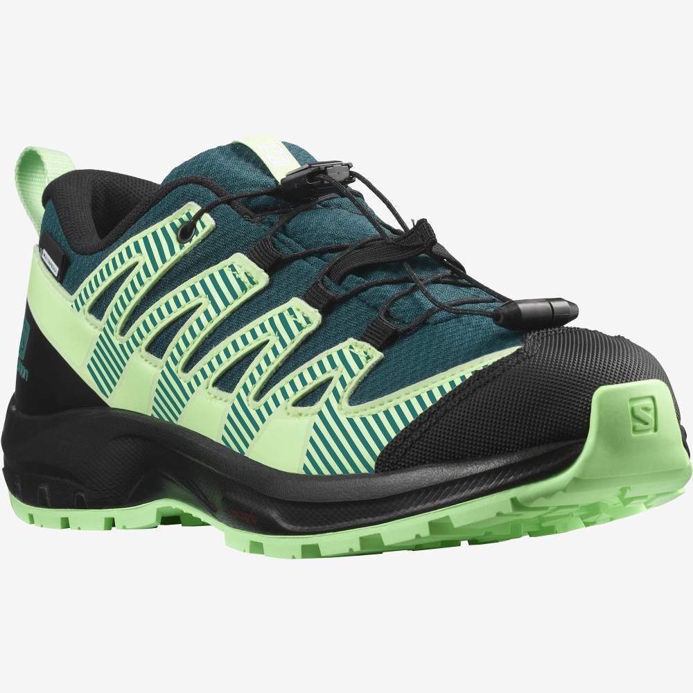 Black Green Salomon Xa Pro V8 Climasalomon Waterproof Kids' Hiking Shoes | 013462EDK