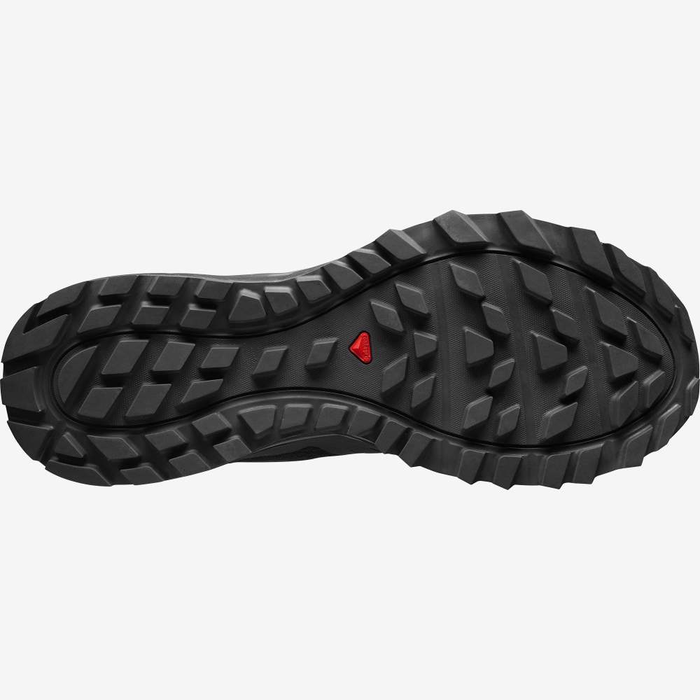 Black Salomon Trailster 2 Men's Trail Running Shoes | 438219MLJ