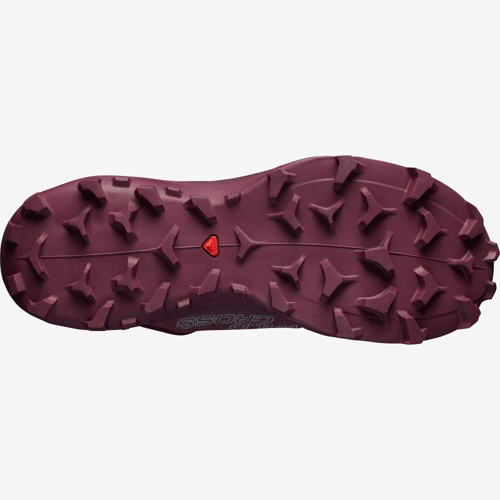 Black Salomon Wildcross W Women's Trail Running Shoes | 325801KXE