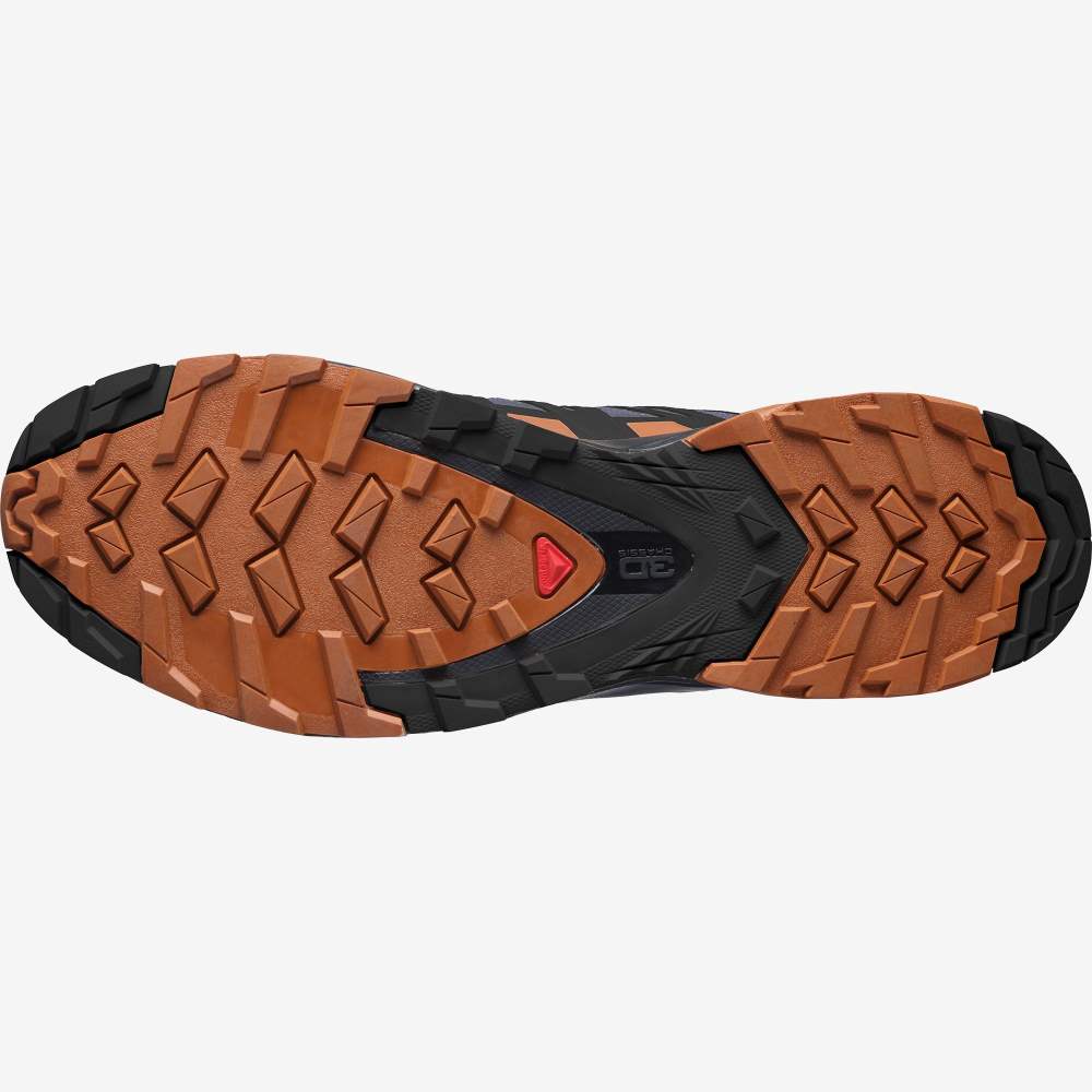 Black Salomon Xa Pro 3d V8 Gore-Tex Men's Hiking Shoes | 874395AZY