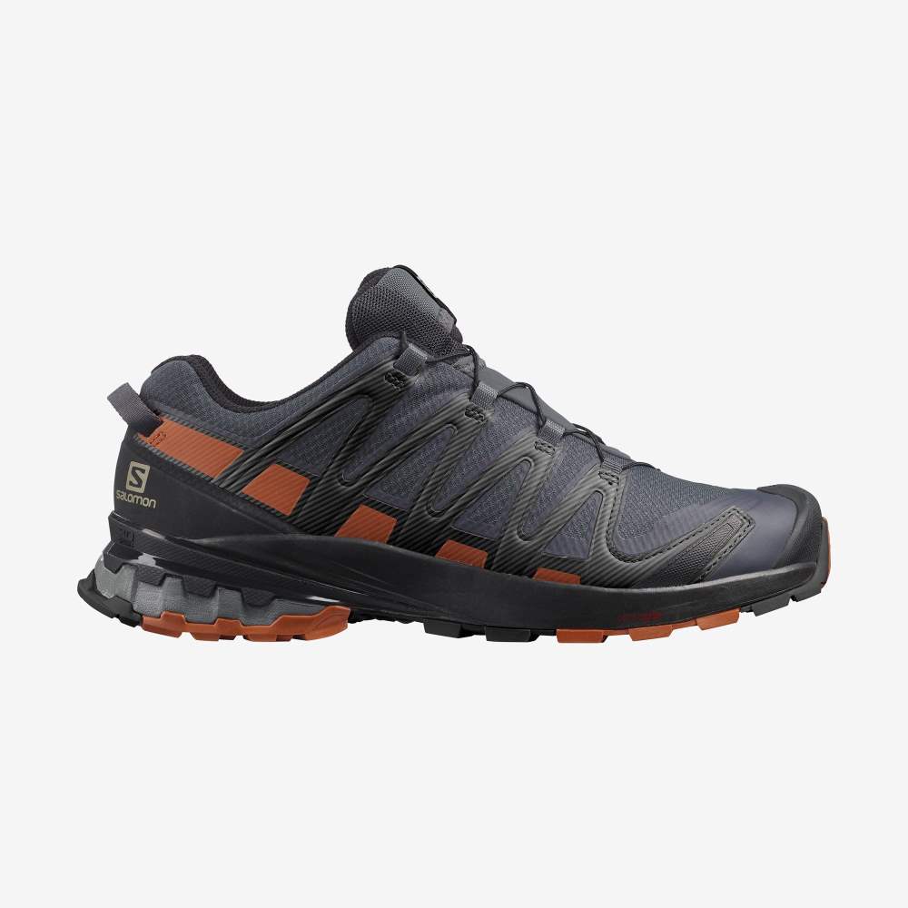 Black Salomon Xa Pro 3d V8 Gore-Tex Men\'s Hiking Shoes | 874395AZY