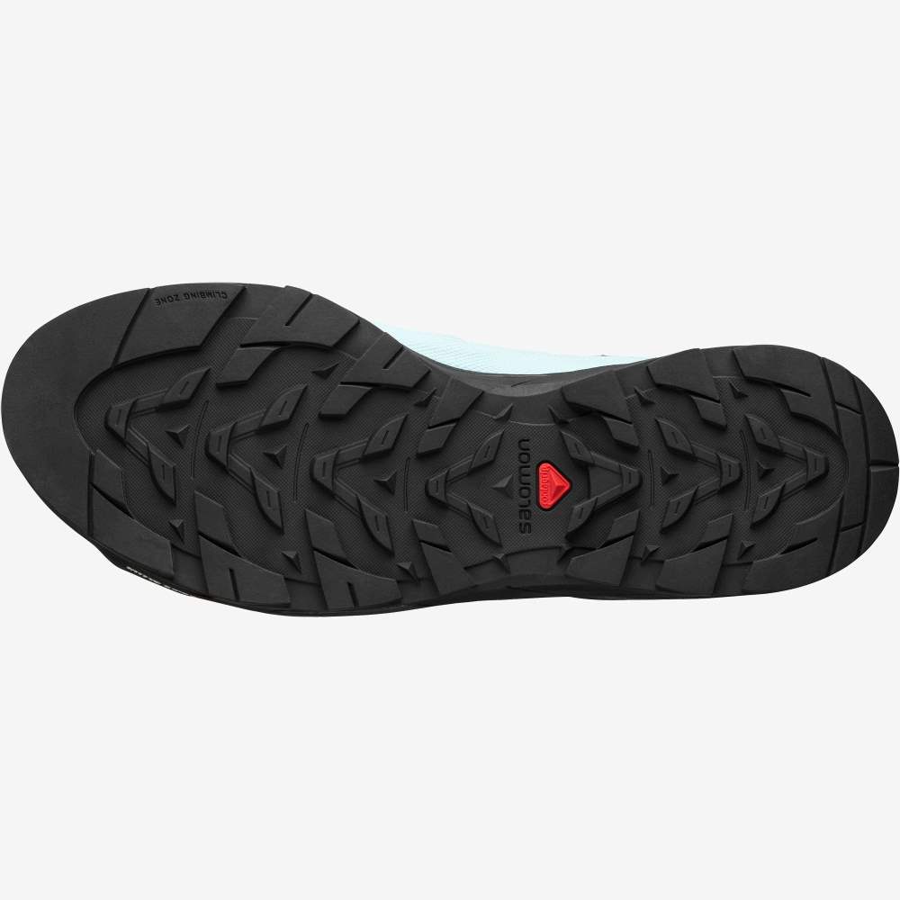 Blue Chocolate Salomon X-Dsalpes Gore-Tex For The Broken Arm Women's Sneakers | 859604AKT