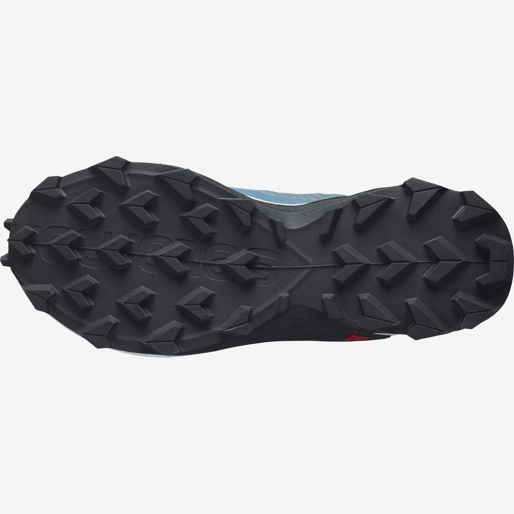 Blue Grey Salomon Alphacross 3 Gore-Tex Women's Trail Running Shoes | 085639UDS