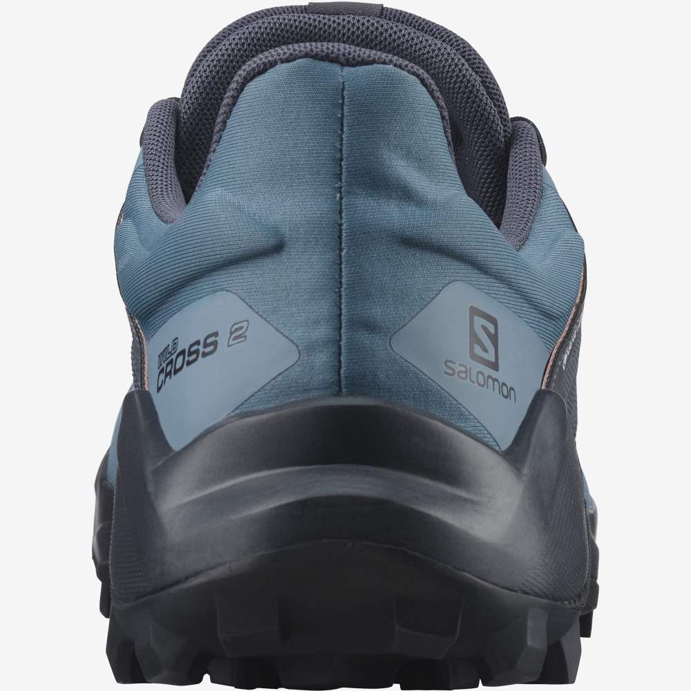 Blue Grey Salomon Wildcross 2 Gore-Tex Women's Trail Running Shoes | 834159FNU