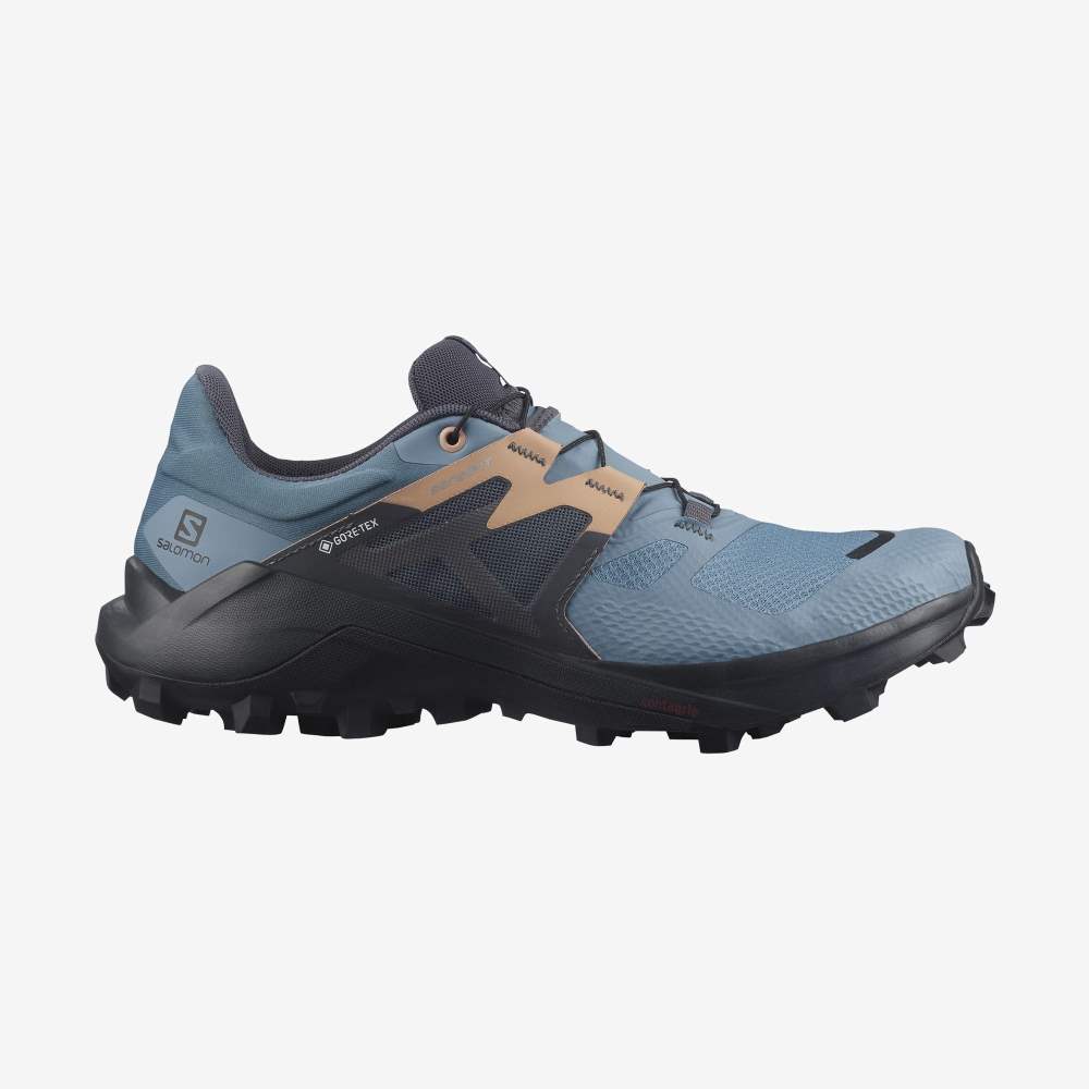 Blue Grey Salomon Wildcross 2 Gore-Tex Women\'s Trail Running Shoes | 834159FNU