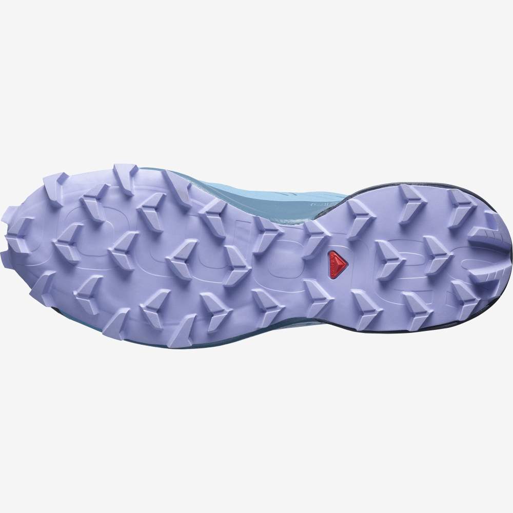 Blue Lavender Salomon Speedcross 5 Gore-Tex Women's Trail Running Shoes | 398260SZM