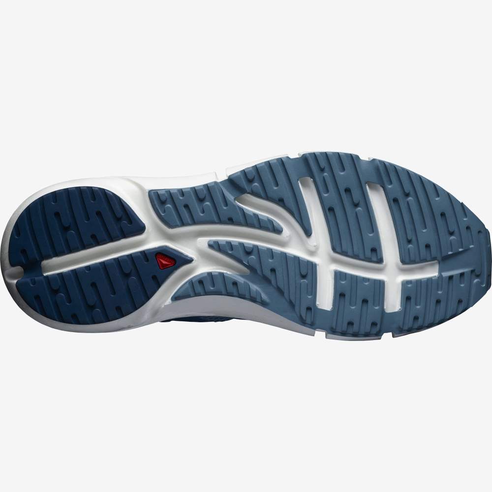 Blue Salomon Predict 2 Men's Running Shoes | 436027GRZ