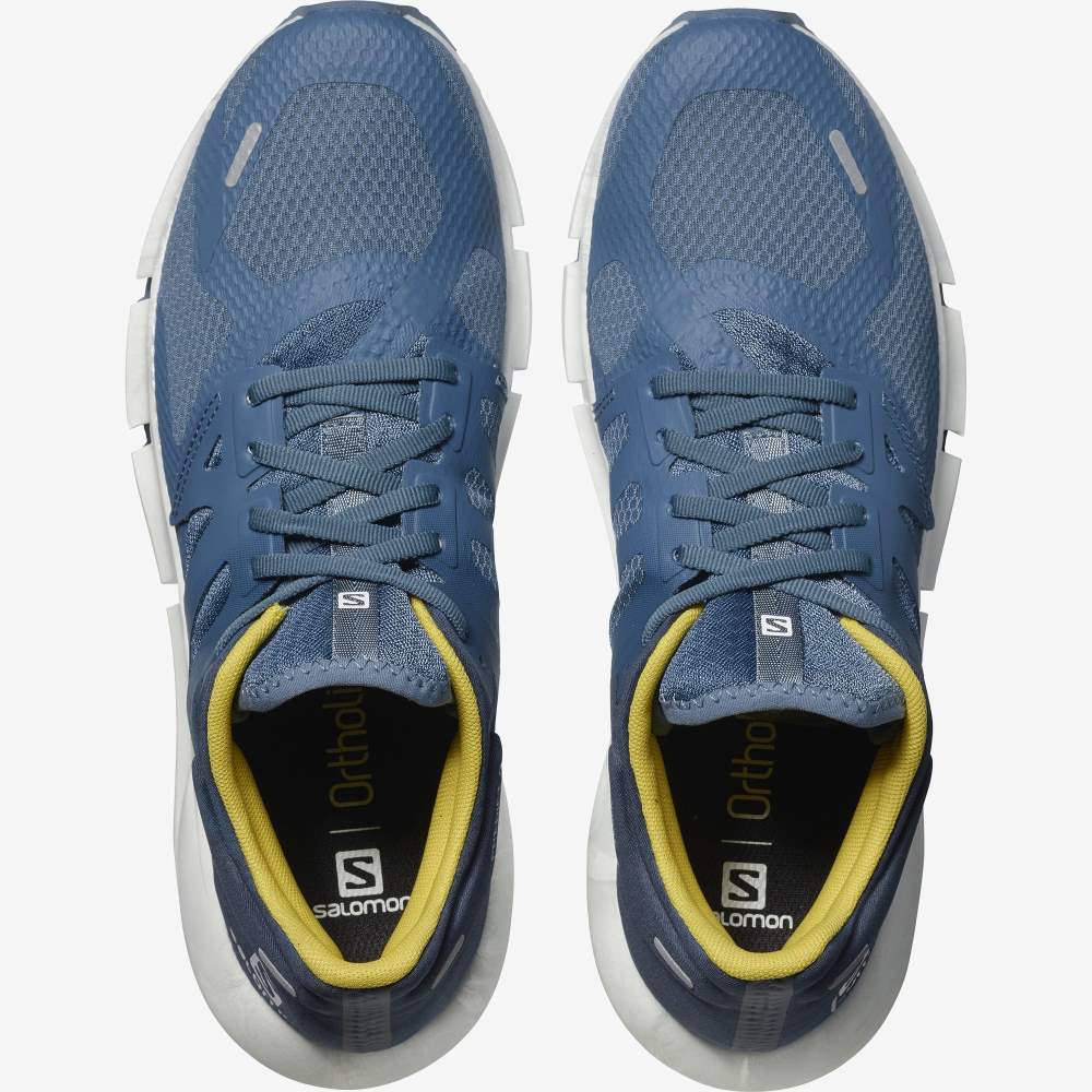 Blue Salomon Predict 2 Men's Running Shoes | 436027GRZ