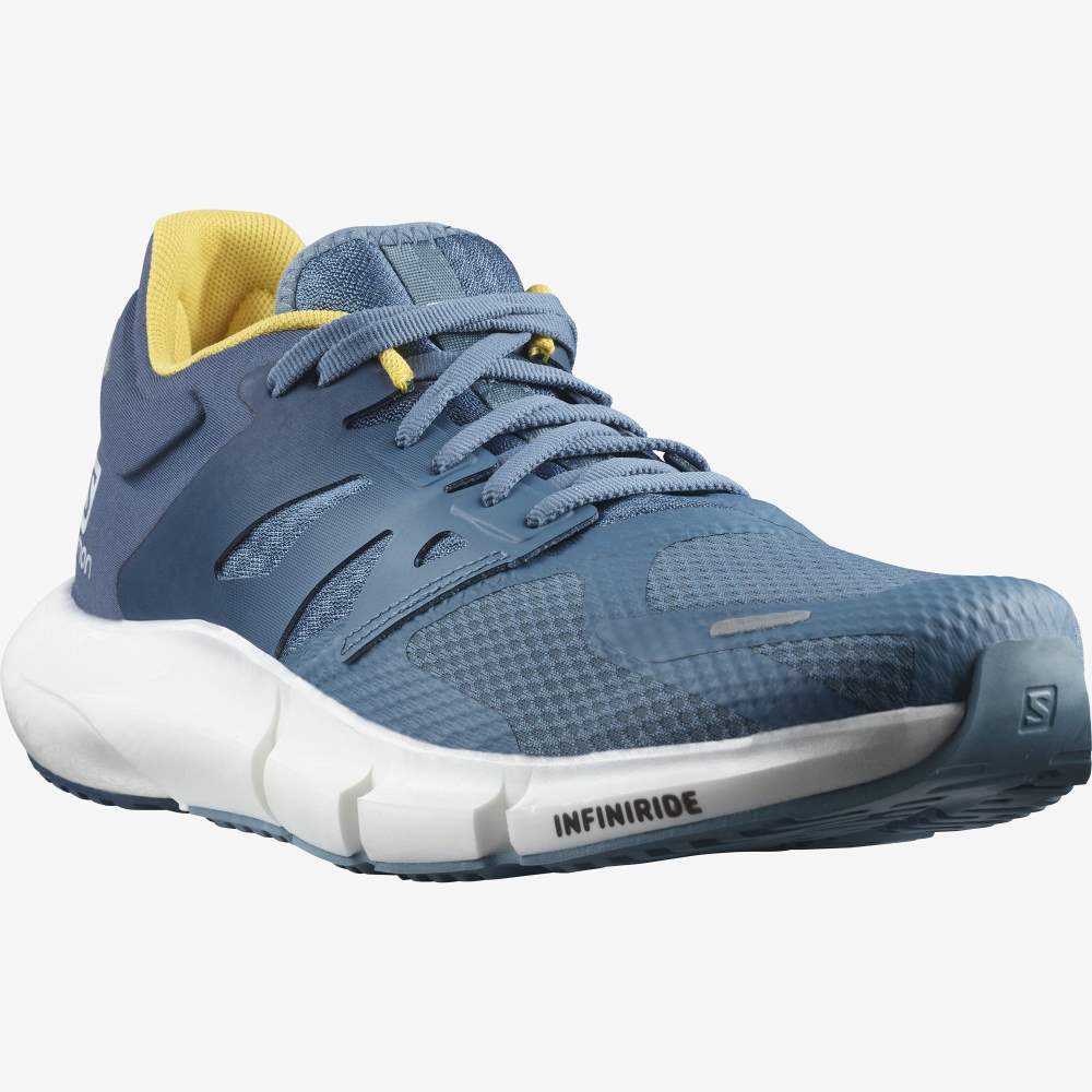 Blue Salomon Predict 2 Men's Running Shoes | 436027GRZ