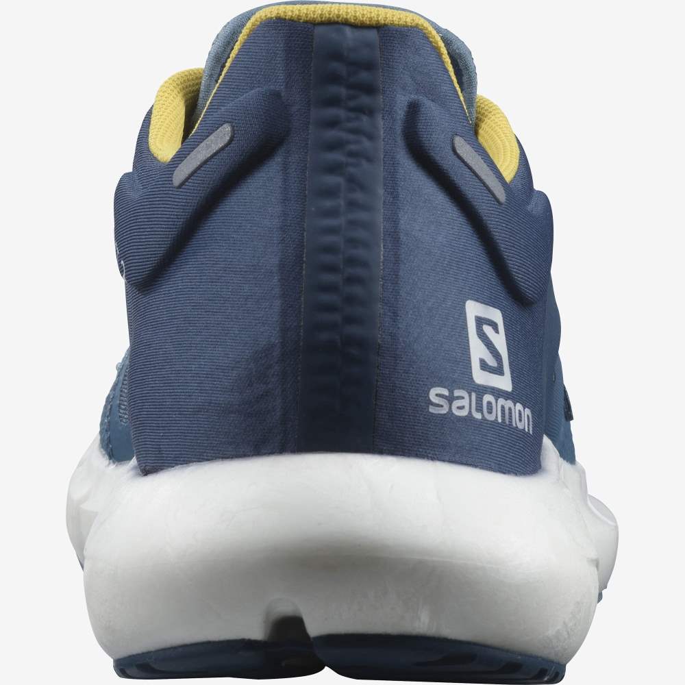 Blue Salomon Predict 2 Men's Running Shoes | 436027GRZ