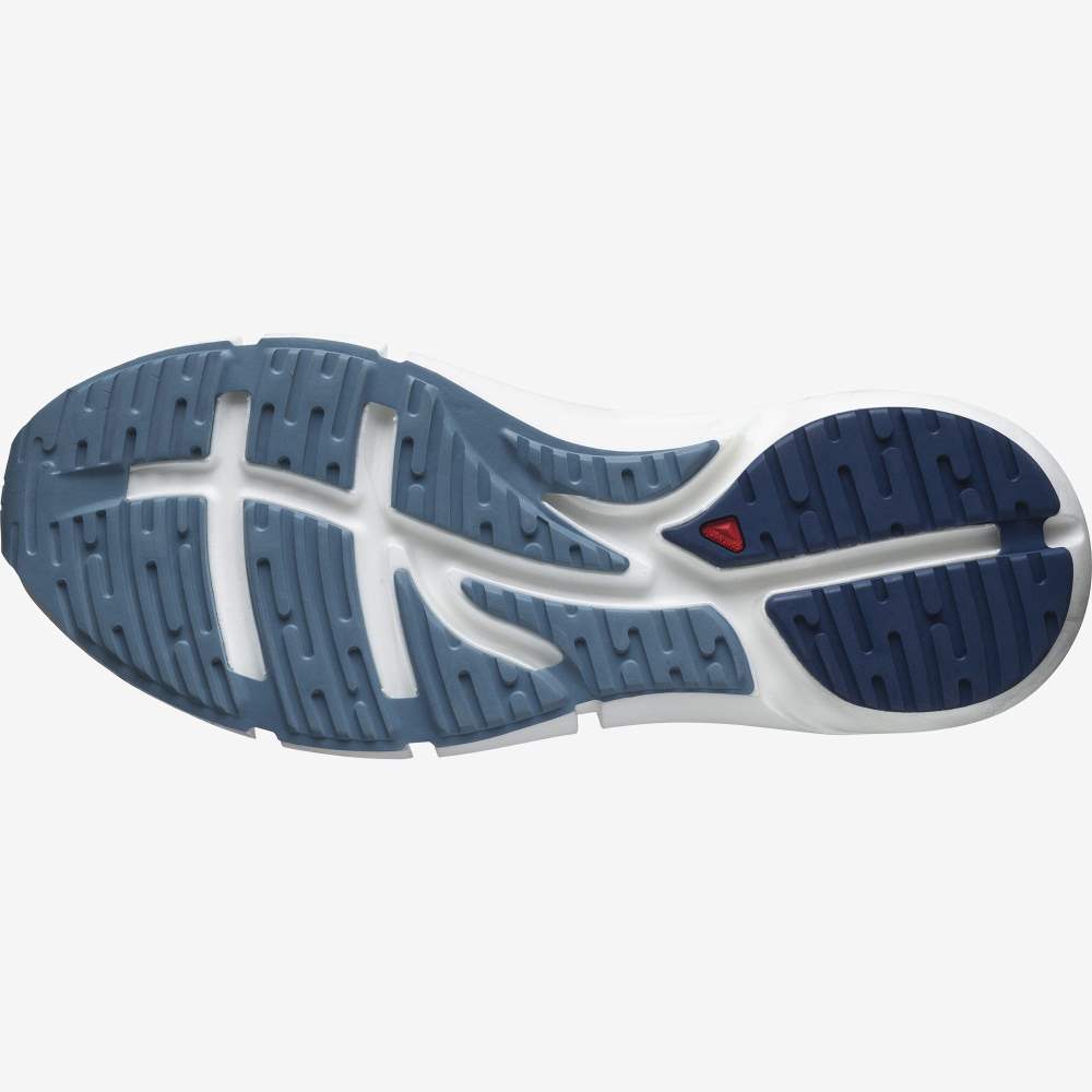 Blue Salomon Predict 2 Men's Running Shoes | 436027GRZ