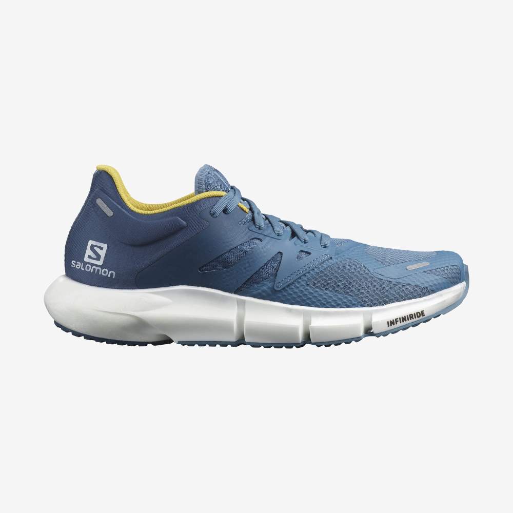 Blue Salomon Predict 2 Men\'s Running Shoes | 436027GRZ