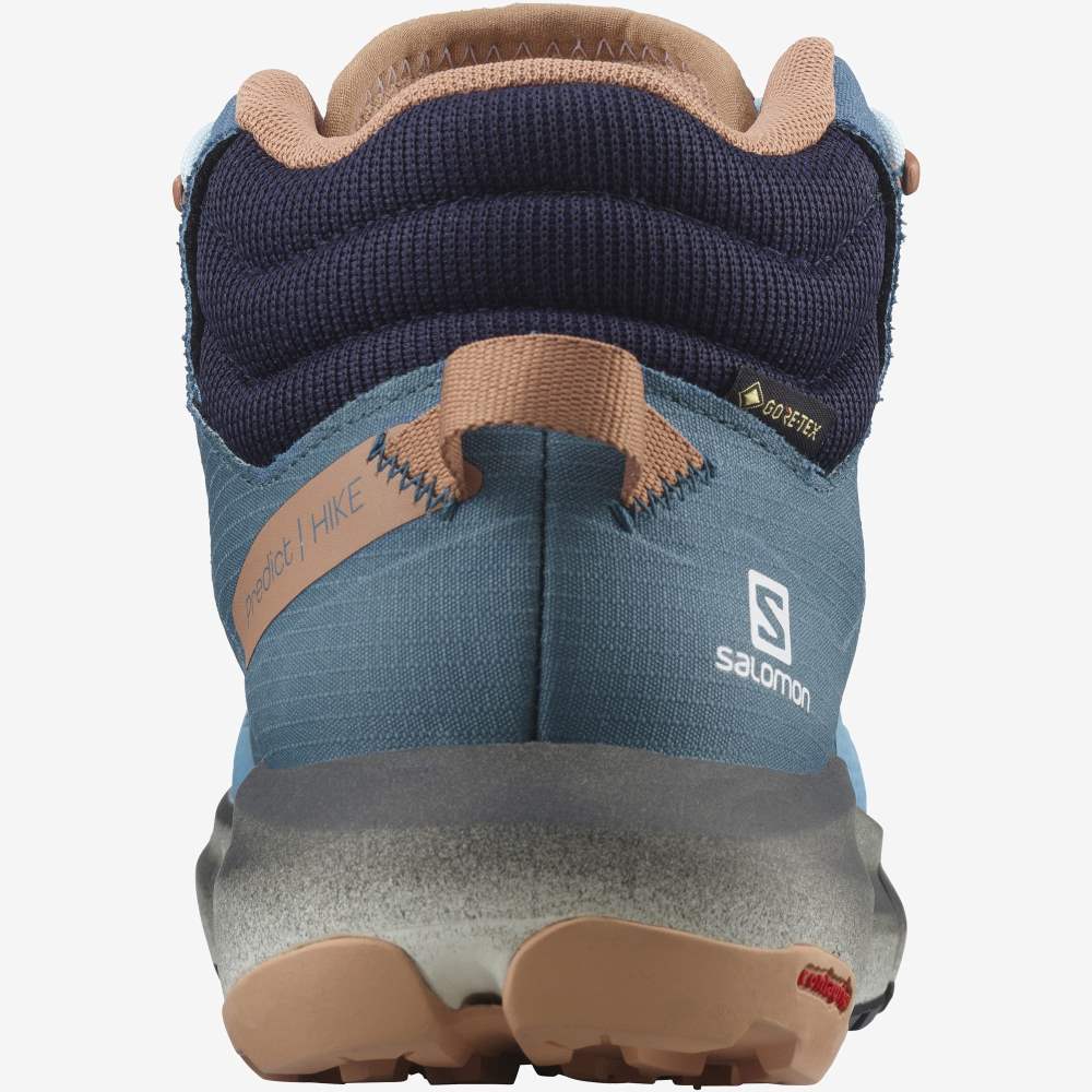 Blue Salomon Predict Hike Mid Gore-Tex Women's Hiking Shoes | 926170GRW