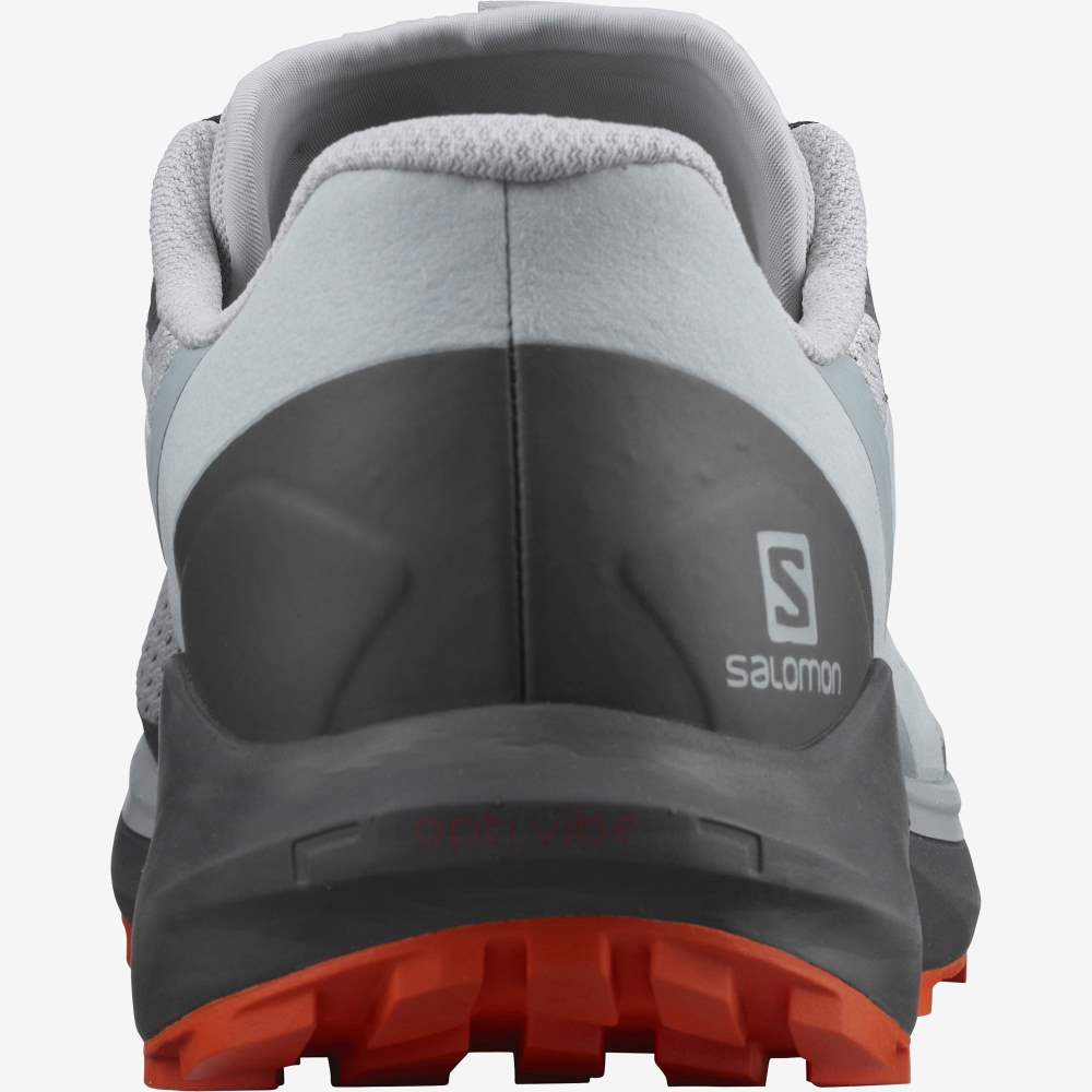 Blue Salomon Sense Ride 4 Men's Trail Running Shoes | 276908UKM