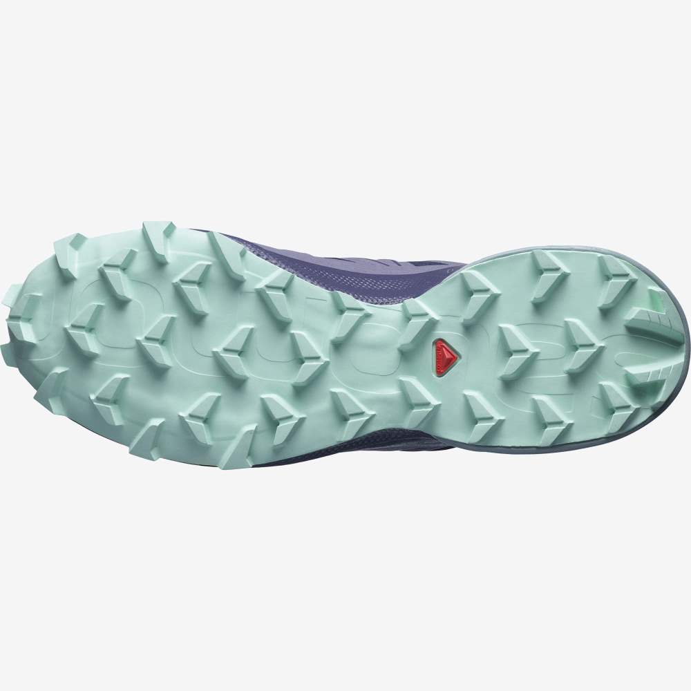 Blue Salomon Speedcross 5 Women's Trail Running Shoes | 938416WRB