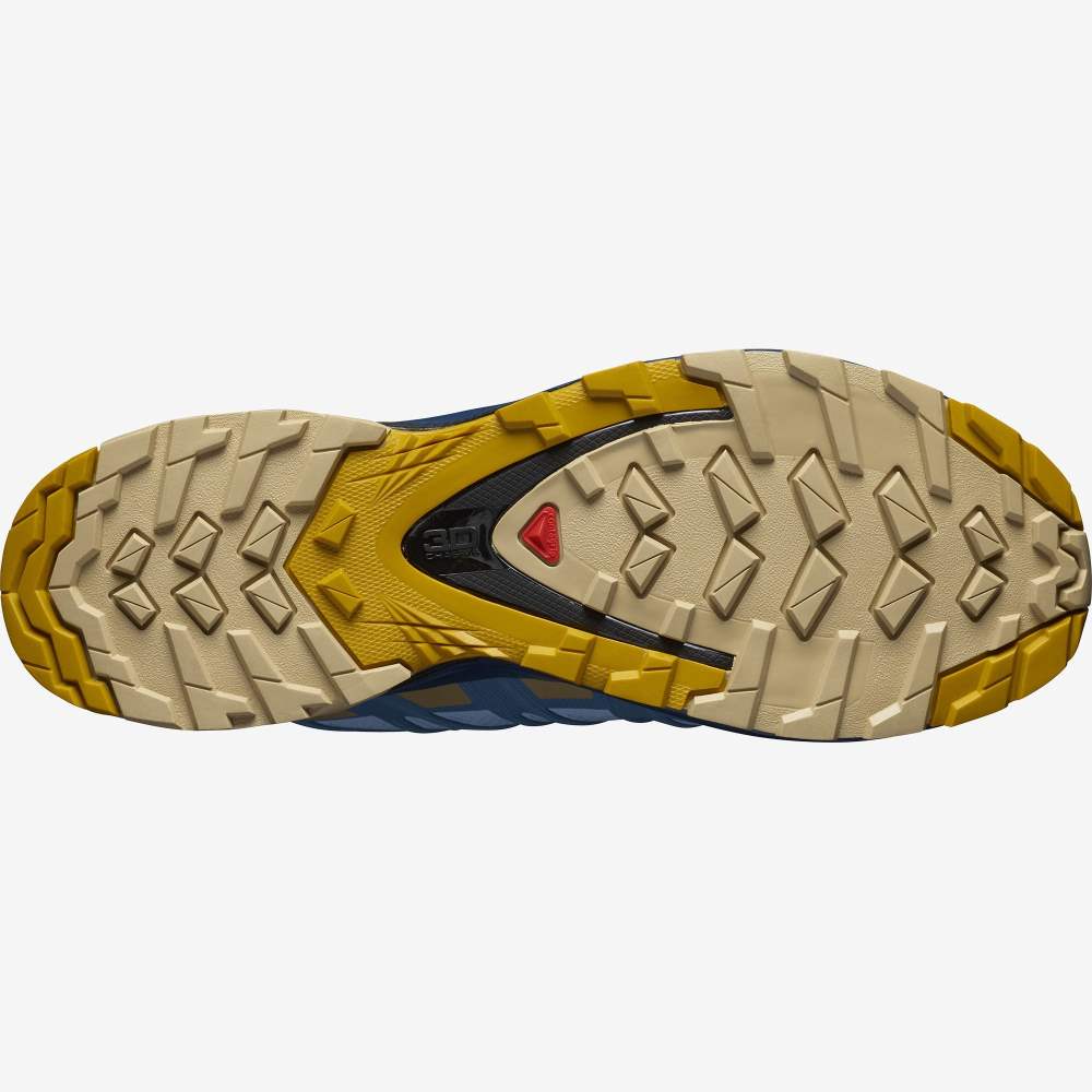 Blue Salomon Xa Pro 3d V8 Gore-Tex Women's Hiking Shoes | 672358ITN