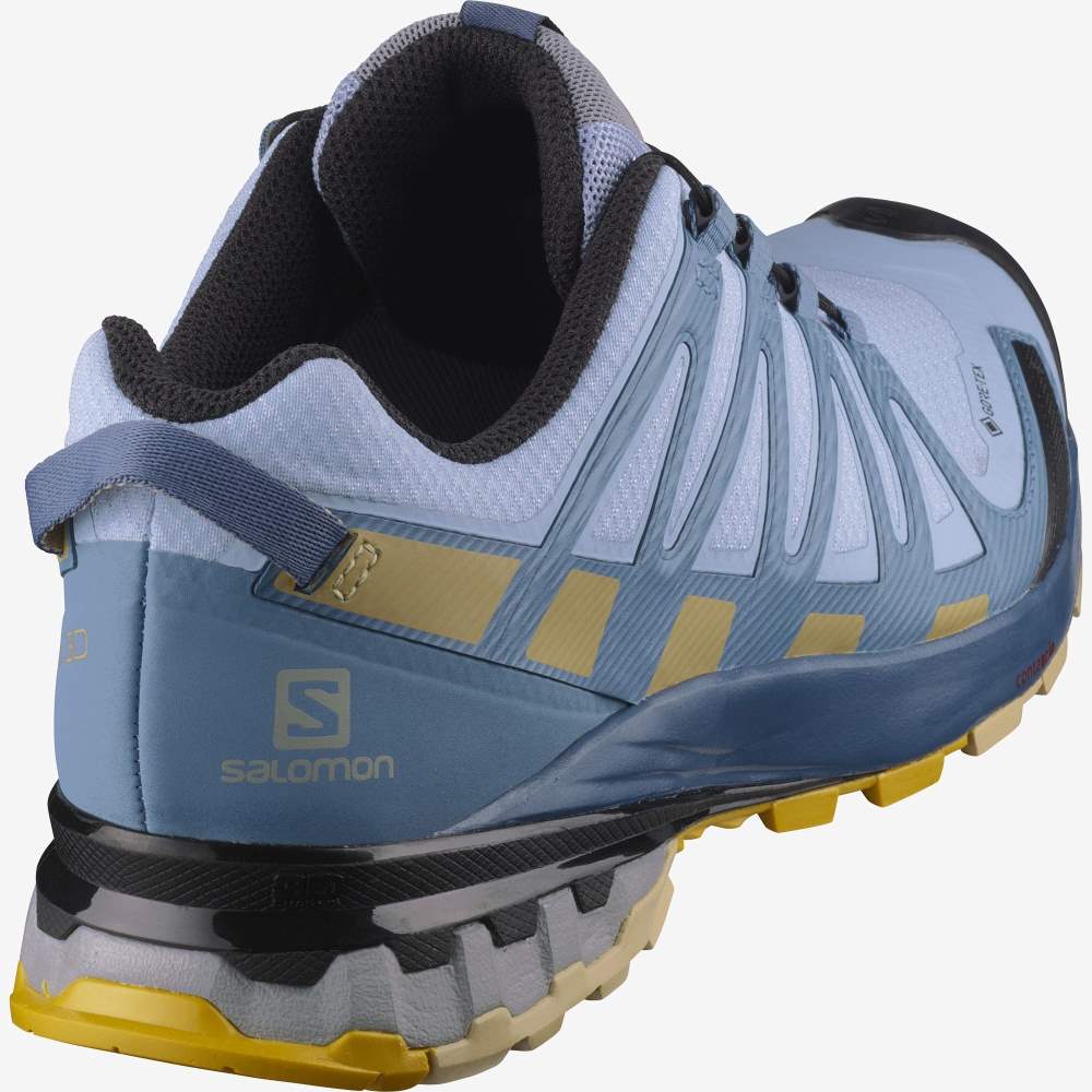 Blue Salomon Xa Pro 3d V8 Gore-Tex Women's Hiking Shoes | 672358ITN