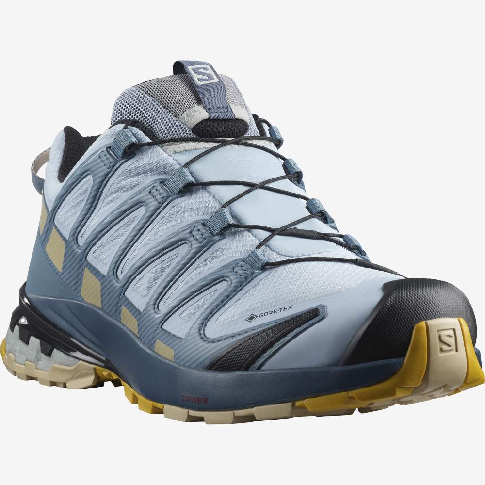 Blue Salomon Xa Pro 3d V8 Gore-Tex Women's Hiking Shoes | 672358ITN