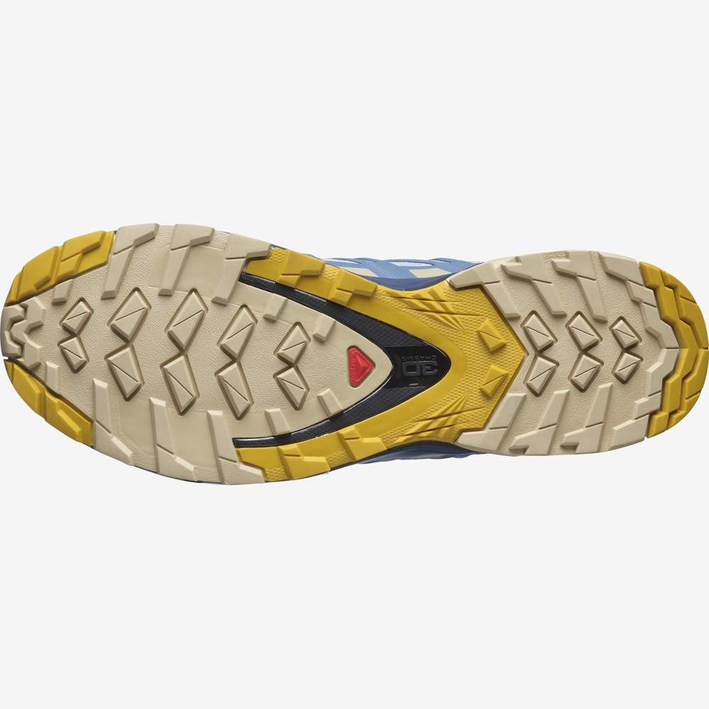 Blue Salomon Xa Pro 3d V8 Gore-Tex Women's Hiking Shoes | 672358ITN