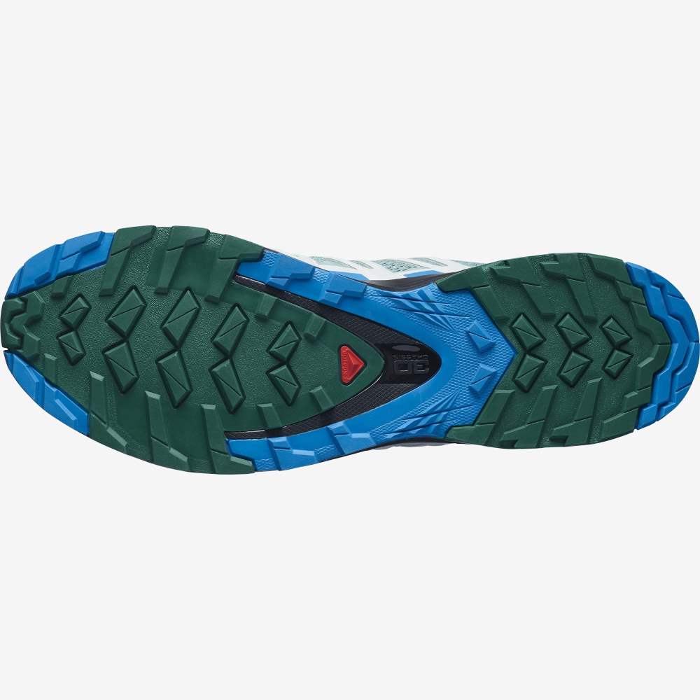 Blue Salomon Xa Pro 3d V8 Men's Hiking Shoes | 793061DXV