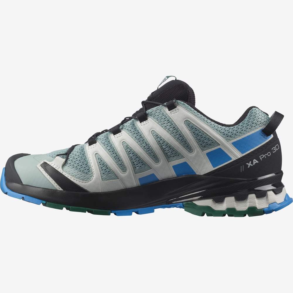 Blue Salomon Xa Pro 3d V8 Men's Hiking Shoes | 793061DXV