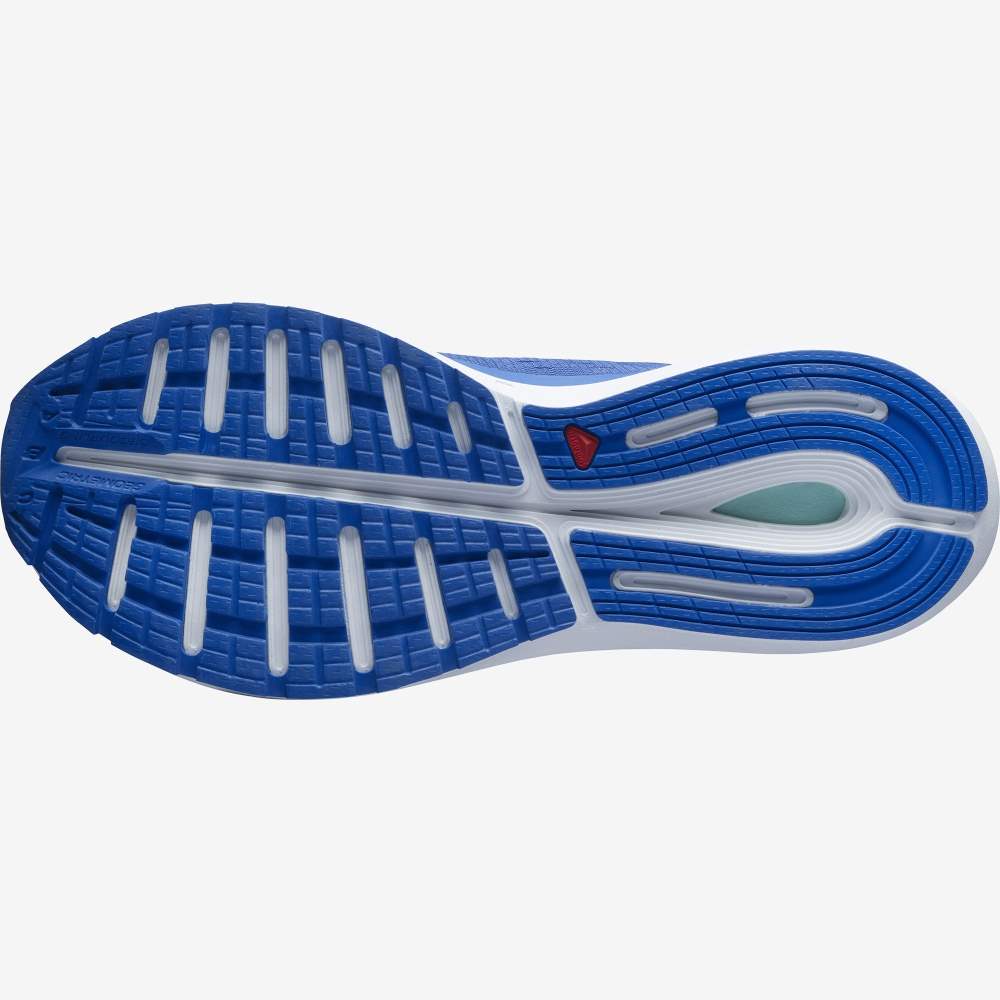 Blue White Salomon Sonic 4 Balance Men's Running Shoes | 465398MUQ