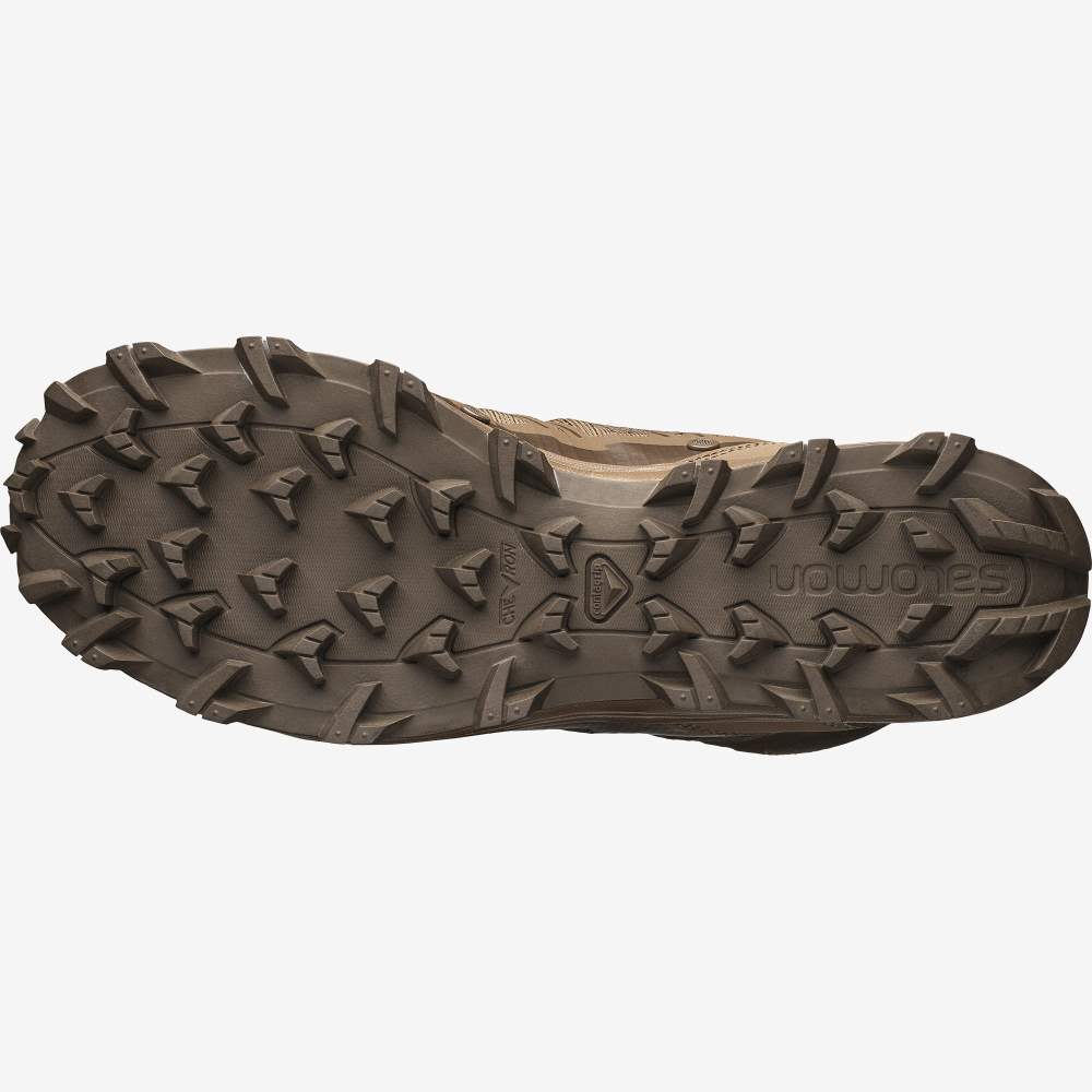 Brown Salomon Speed Assault Women's Trail Running Shoes | 943578THZ