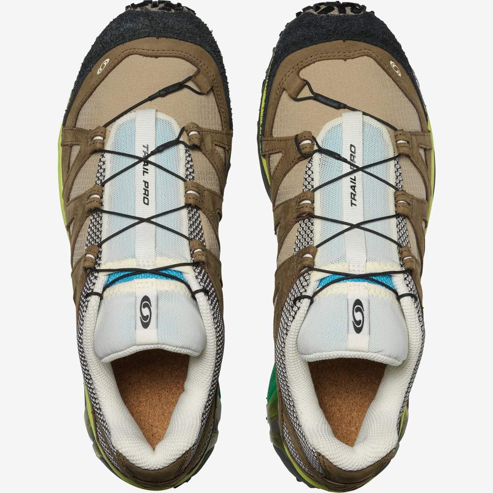 Brown Salomon Trail Pro For The Broken Arm Men's Sport Shoes | 724681SRF