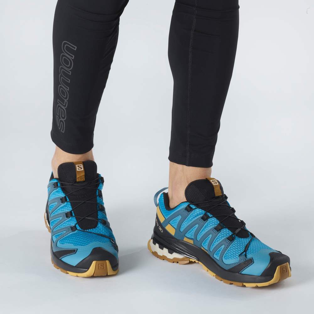 Brown Salomon Xa Pro 3d V8 Men's Hiking Shoes | 157086JQZ