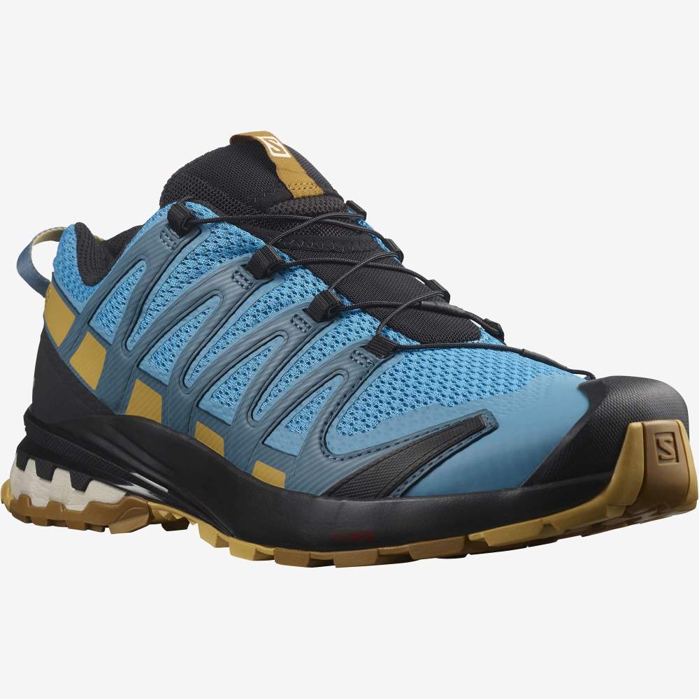 Brown Salomon Xa Pro 3d V8 Men's Hiking Shoes | 157086JQZ