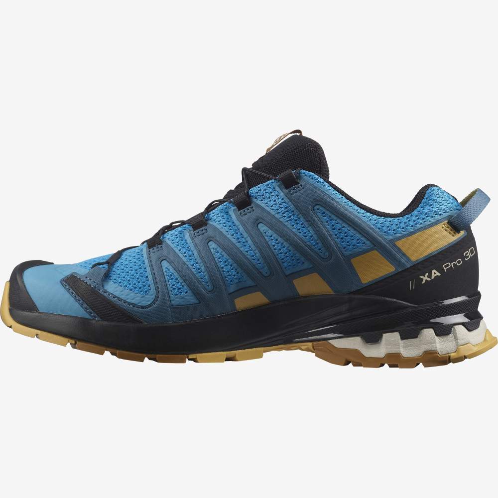 Brown Salomon Xa Pro 3d V8 Men's Hiking Shoes | 157086JQZ