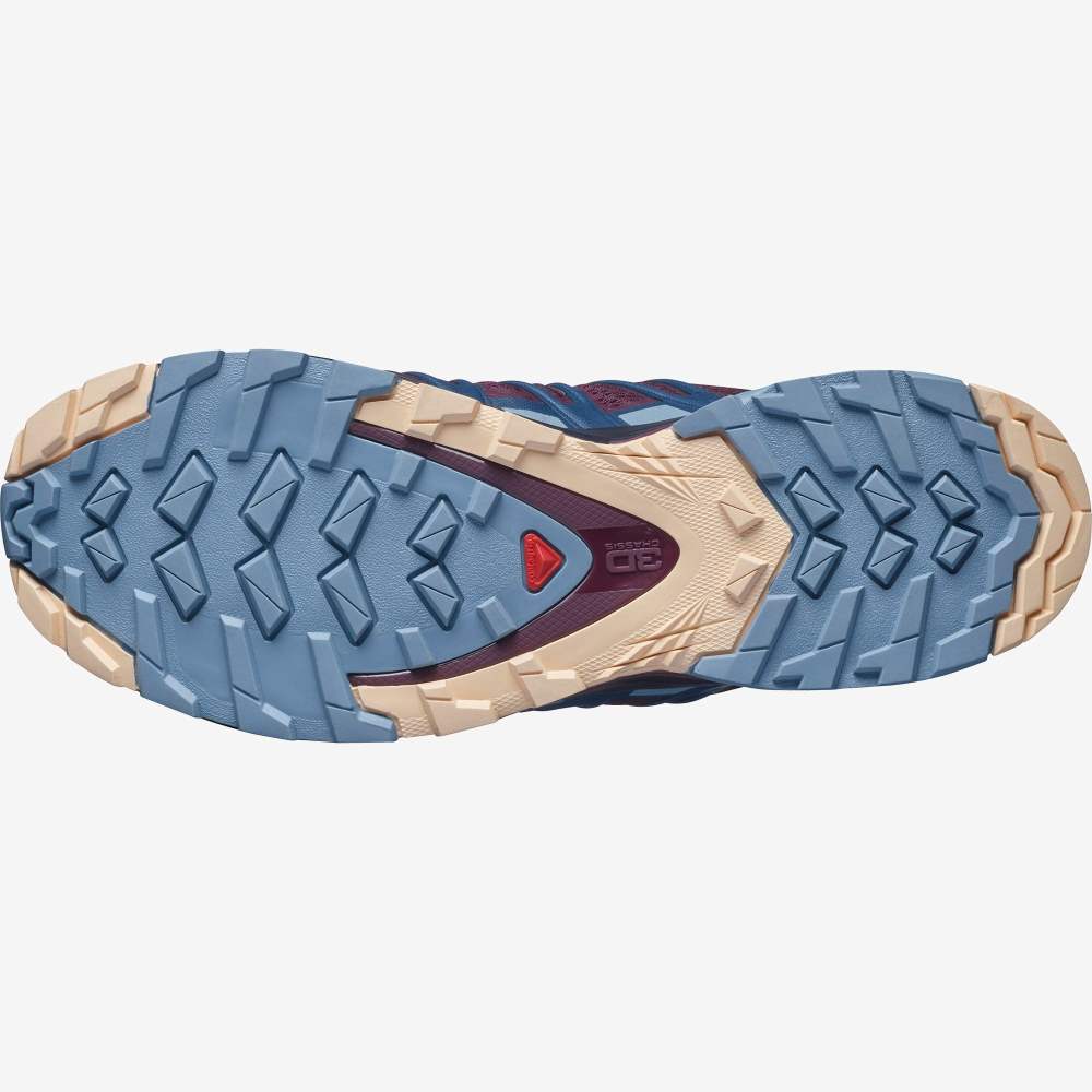 Cream Salomon Xa Pro 3d V8 Women's Hiking Shoes | 650931MZW