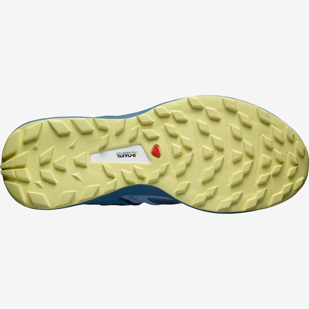 Grey Blue Salomon Ultra W /PRO Women's Trail Running Shoes | 480962TSG