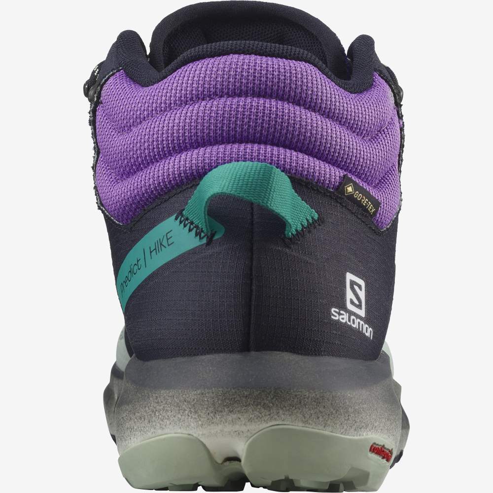 Grey Royal Salomon Predict Hike Mid Gore-Tex Men's Hiking Shoes | 901276MKV