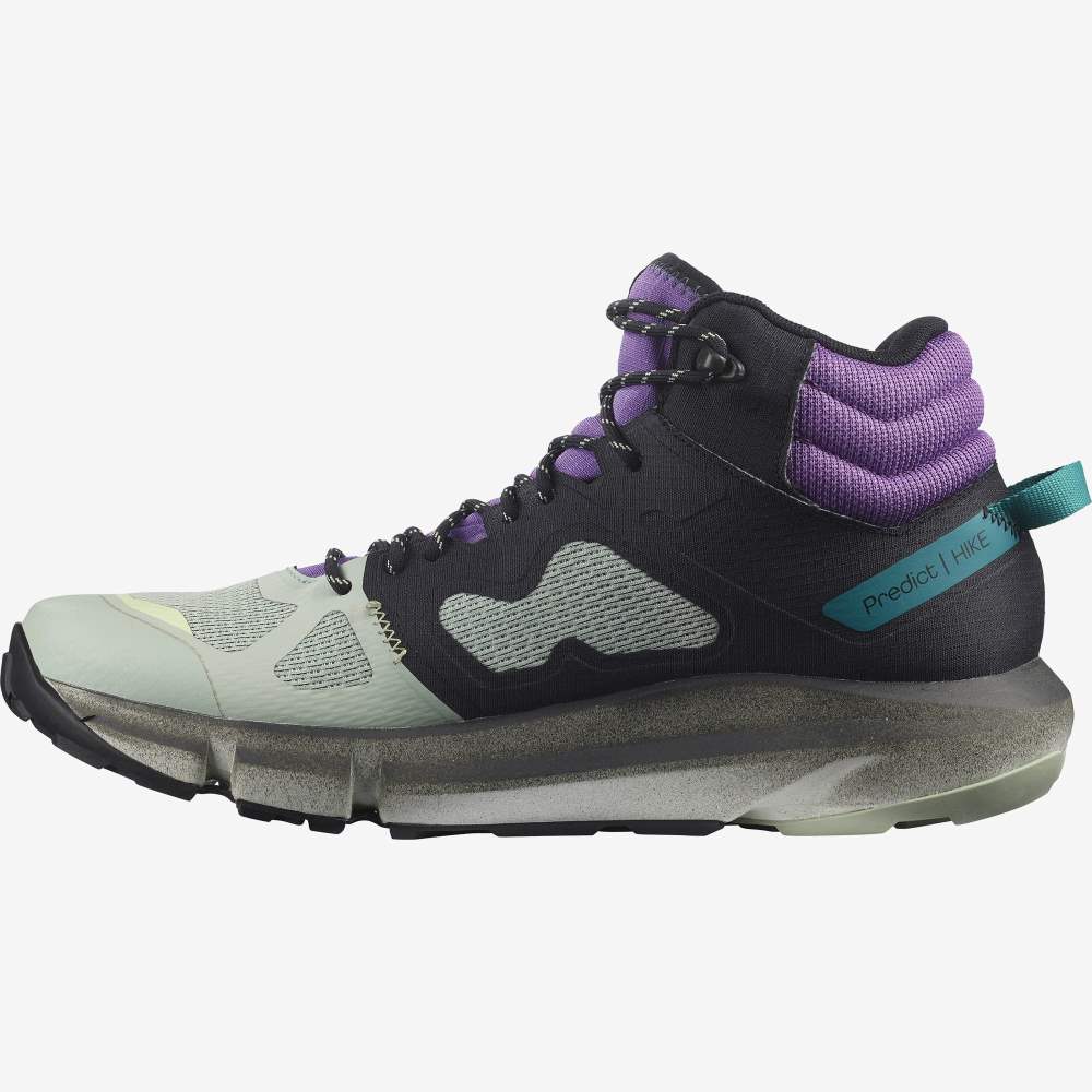 Grey Royal Salomon Predict Hike Mid Gore-Tex Men's Hiking Shoes | 901276MKV