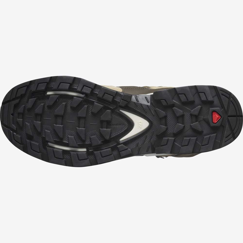 Khaki Salomon Quest 4 Gore-Tex Men's Hiking Shoes | 953412MSB