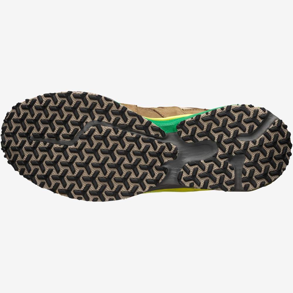 Light Brown Salomon Trail Pro For The Broken Arm Women's Sneakers | 835194UZP