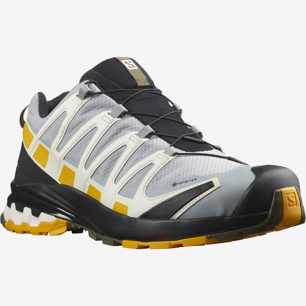 Olive Salomon Xa Pro 3d V8 Gore-Tex Men's Hiking Shoes | 682735DMN