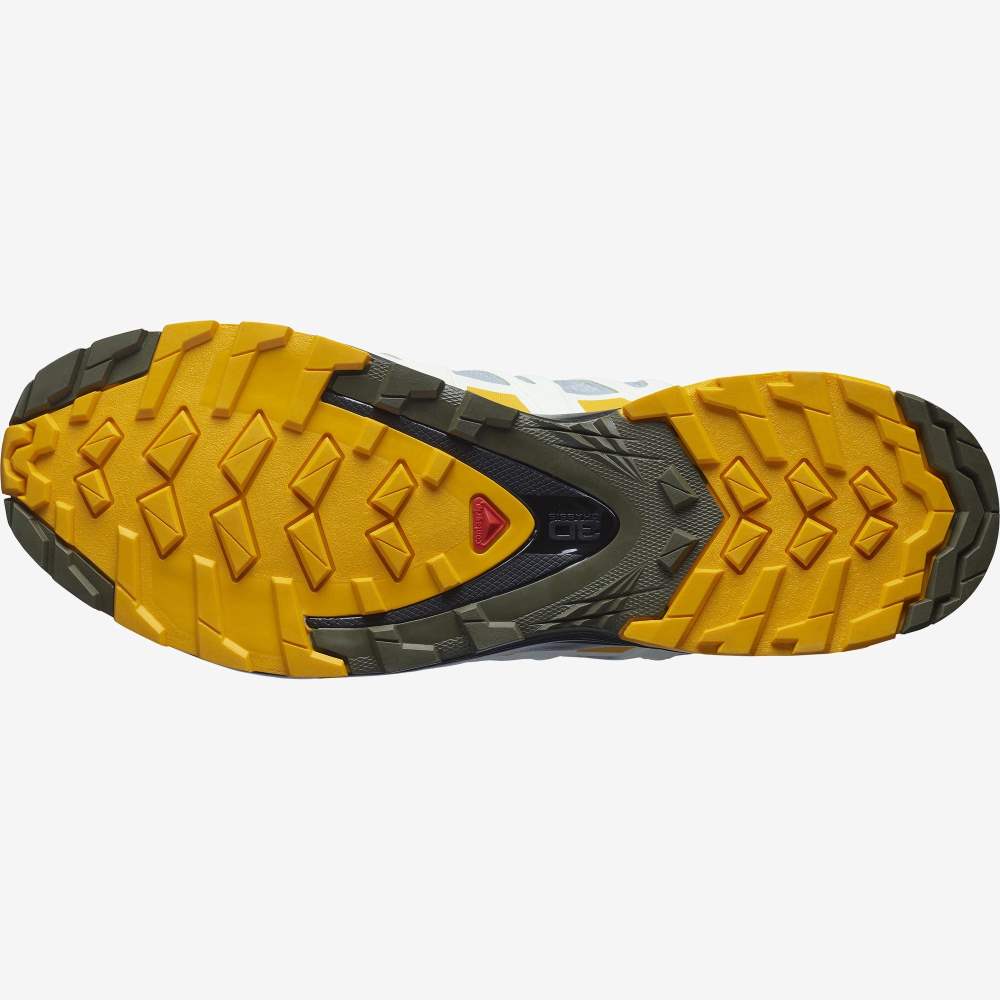Olive Salomon Xa Pro 3d V8 Gore-Tex Men's Hiking Shoes | 682735DMN