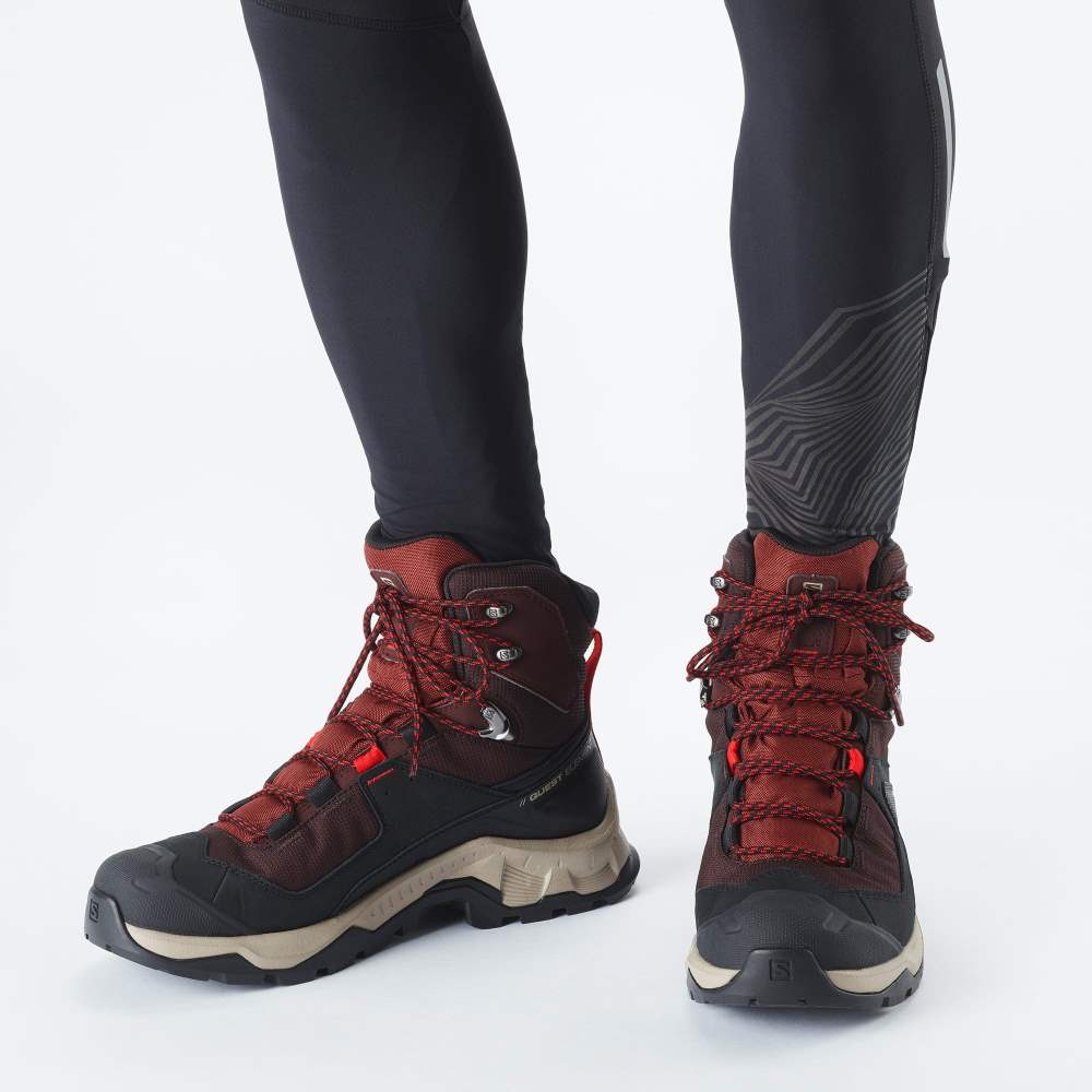 Purple Brown Salomon Quest Element Gore-Tex Men's Hiking Shoes | 075342UWA