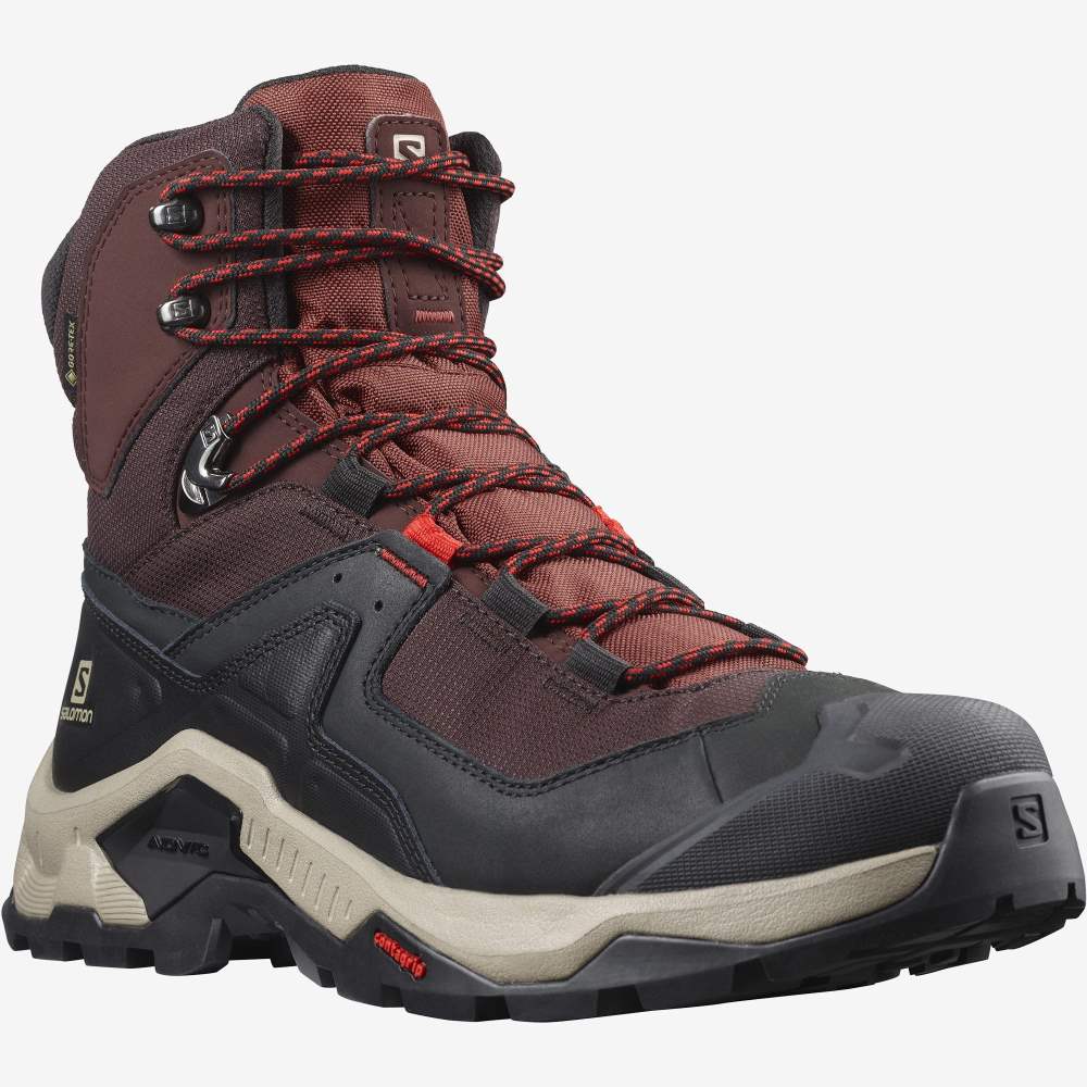 Purple Brown Salomon Quest Element Gore-Tex Men's Hiking Shoes | 075342UWA