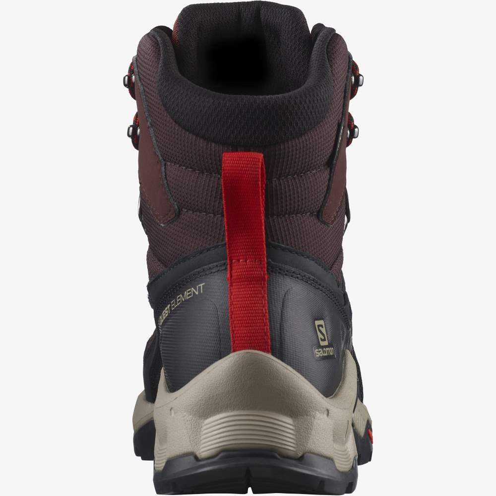 Purple Brown Salomon Quest Element Gore-Tex Men's Hiking Shoes | 075342UWA