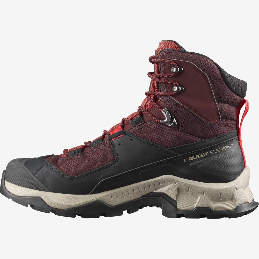Purple Brown Salomon Quest Element Gore-Tex Men's Hiking Shoes | 075342UWA