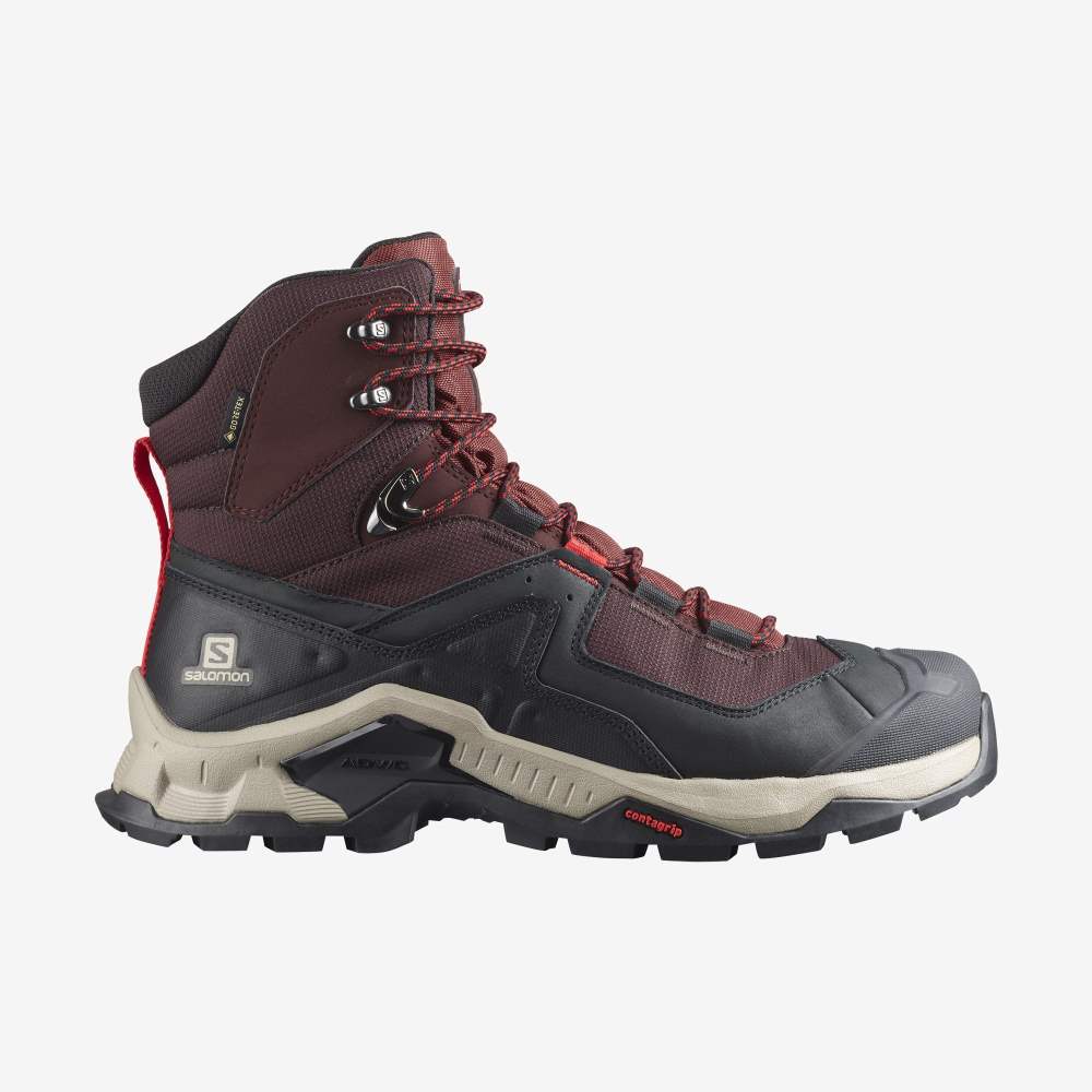 Purple Brown Salomon Quest Element Gore-Tex Men\'s Hiking Shoes | 075342UWA