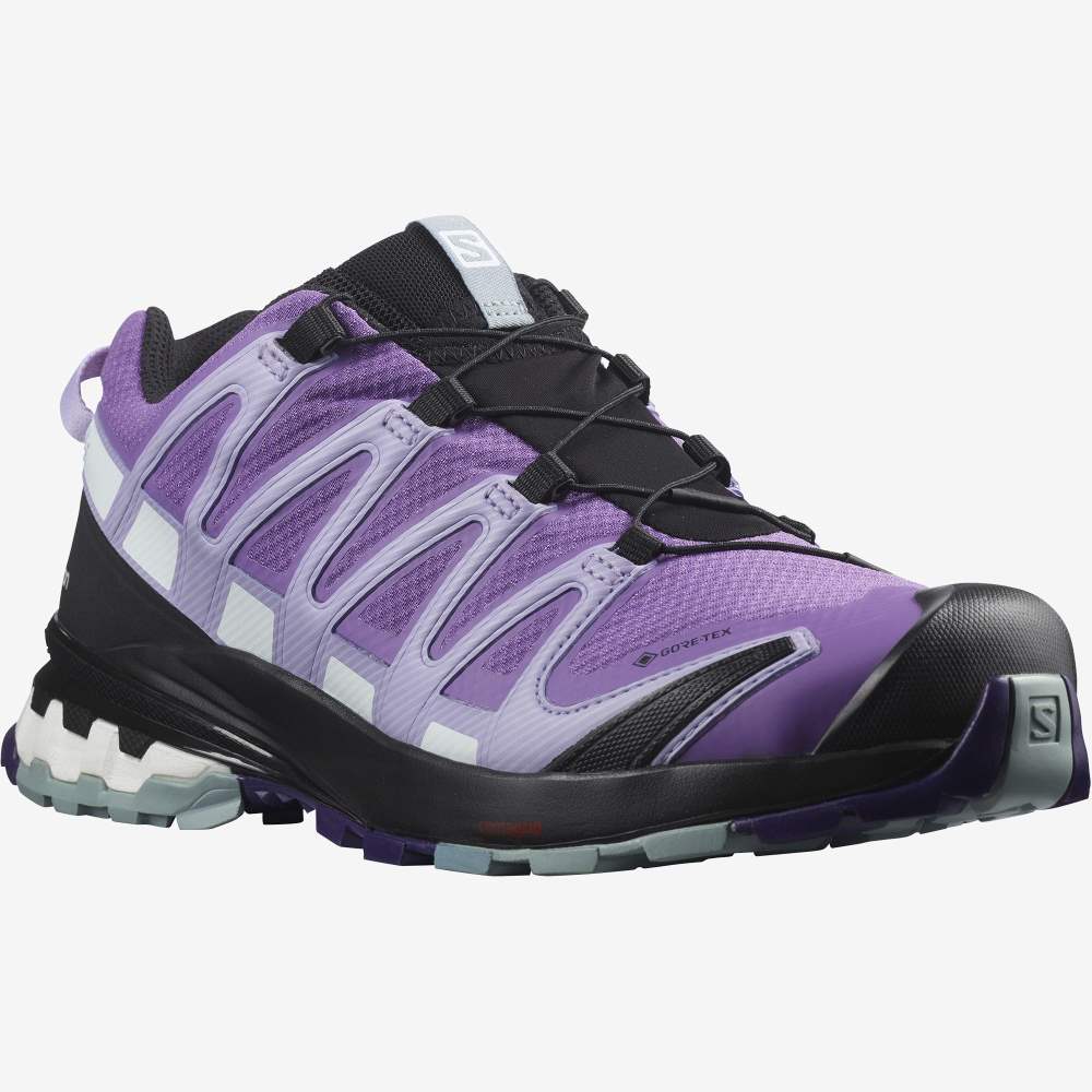 Royal Lavender Salomon Xa Pro 3d V8 Gore-Tex Women's Hiking Shoes | 467501QFZ